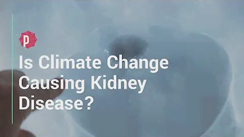 Is Climate Change Causing Kidney Disease?