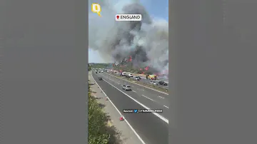 Record-Breaking Heatwave Causes Havoc Across Europe | The Quint