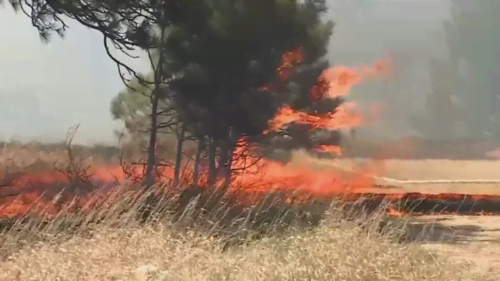 How climate is impacting CA's fire season, and a solution involving plants